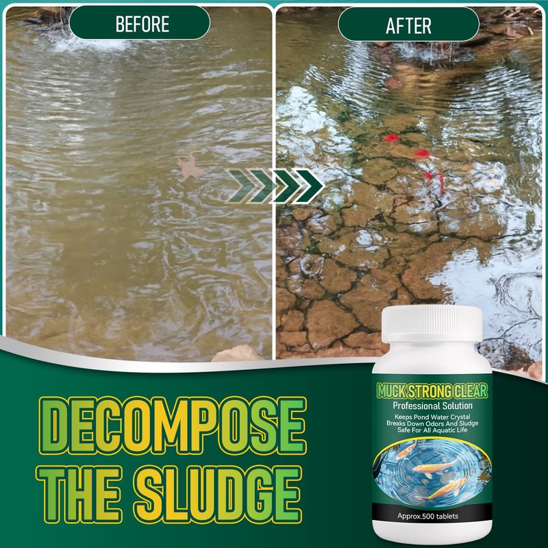 Muck Reducer Tablets for Fishponds, Baths & Fountains - 500 Count gallery