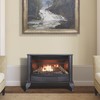 ProCom Vent-Free Dual Fuel Gas Stove, 25,000 BTU, Model# QNSD250T gallery