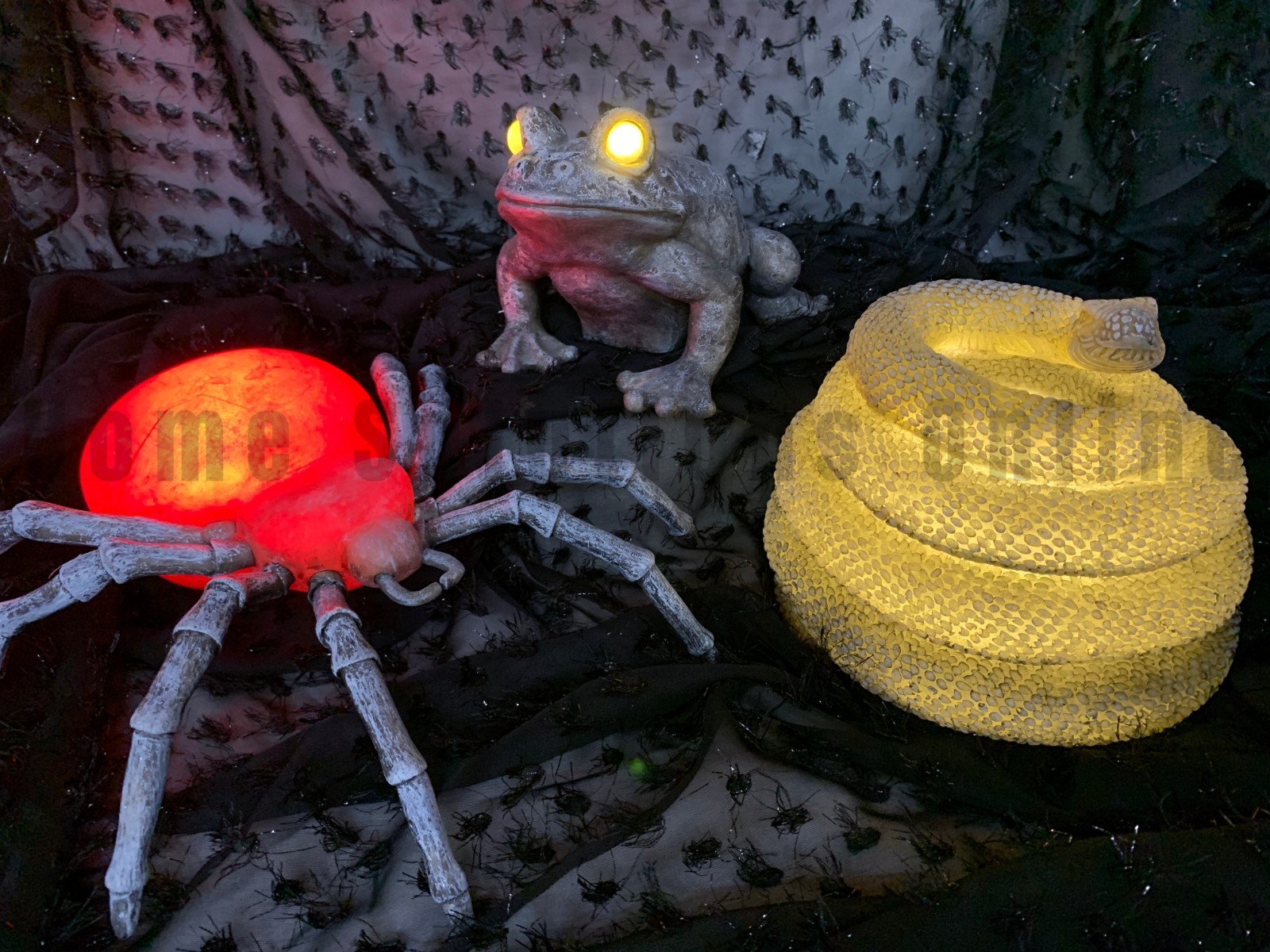 Pottery Barn Lit LED Mixed Halloween Frog Snake Spider Critters Decor S/3 #R3004 gallery