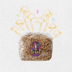 3lb Milo Sorghum Grain Spawn