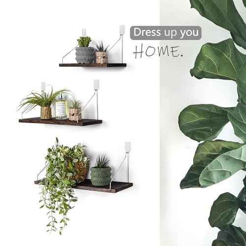 Floating Shelves Set of 3 Rustic Solid Wood Floating Shelf L+M+S Retro Color gallery