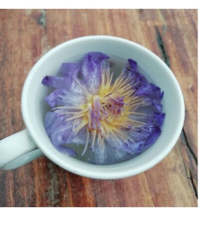 Blue Lotus (Nymphaea Caerulea) herbal tea - Bulk gallery