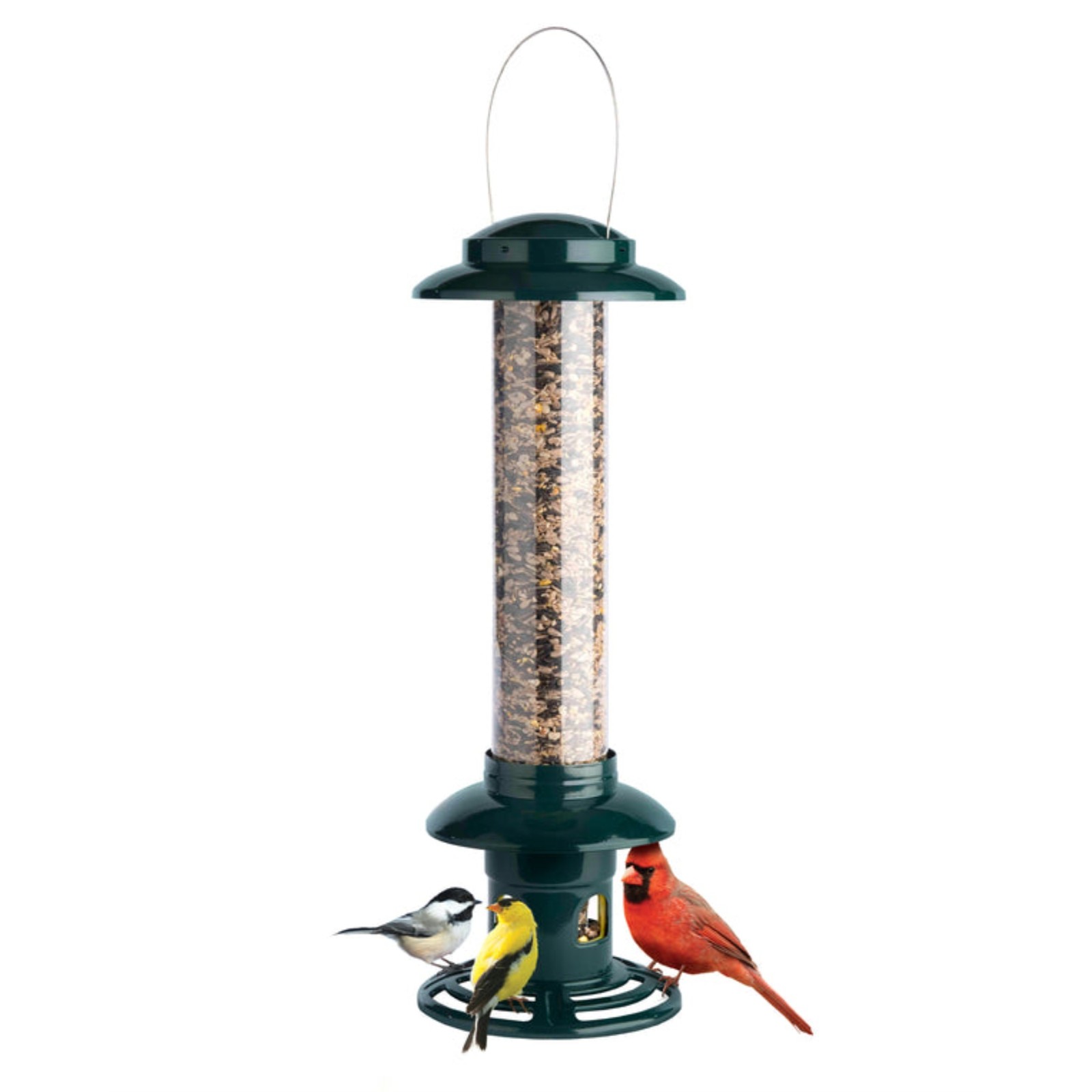Brome Squirrel Buster Evolution Bird Feeder with Double Cardinal Ring gallery