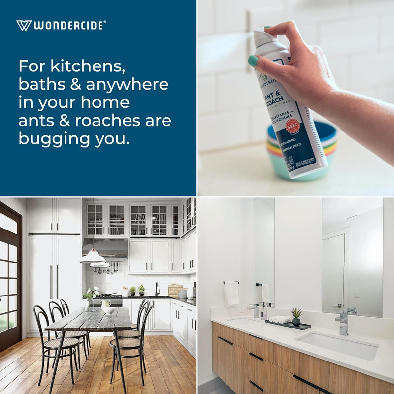 - Ant & Roach Aerosol Spray for Kitchen, Home, and Indoor Areas - Ant, Roach, Sp gallery