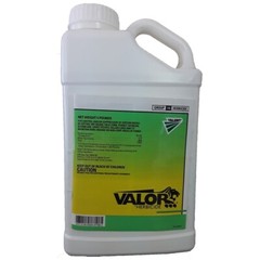 Valor (Flumioxazin) – 5 Pounds