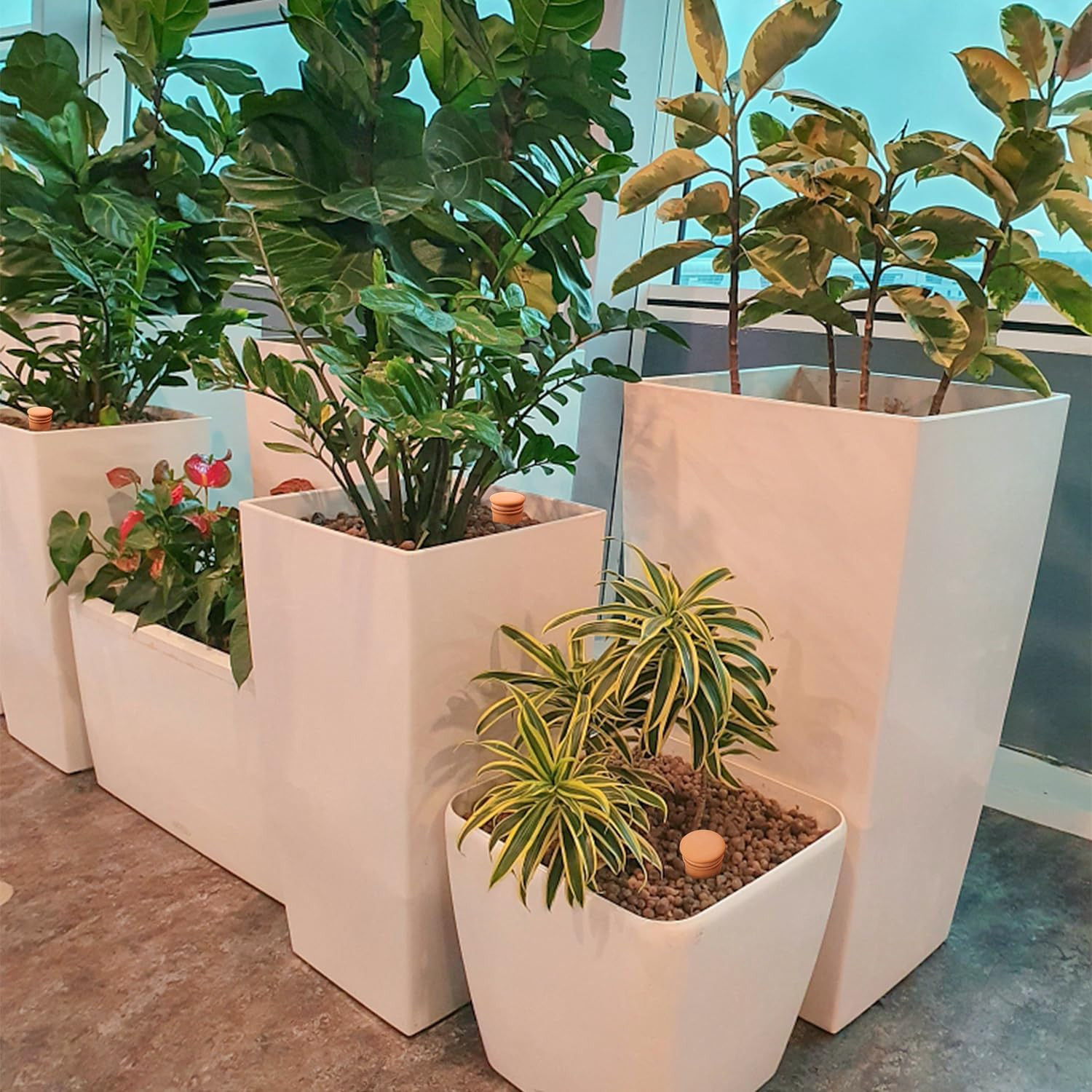 8Pcs Ollas Self Watering Terracotta Planter Terra Cotta Clay Watering Spikes for gallery