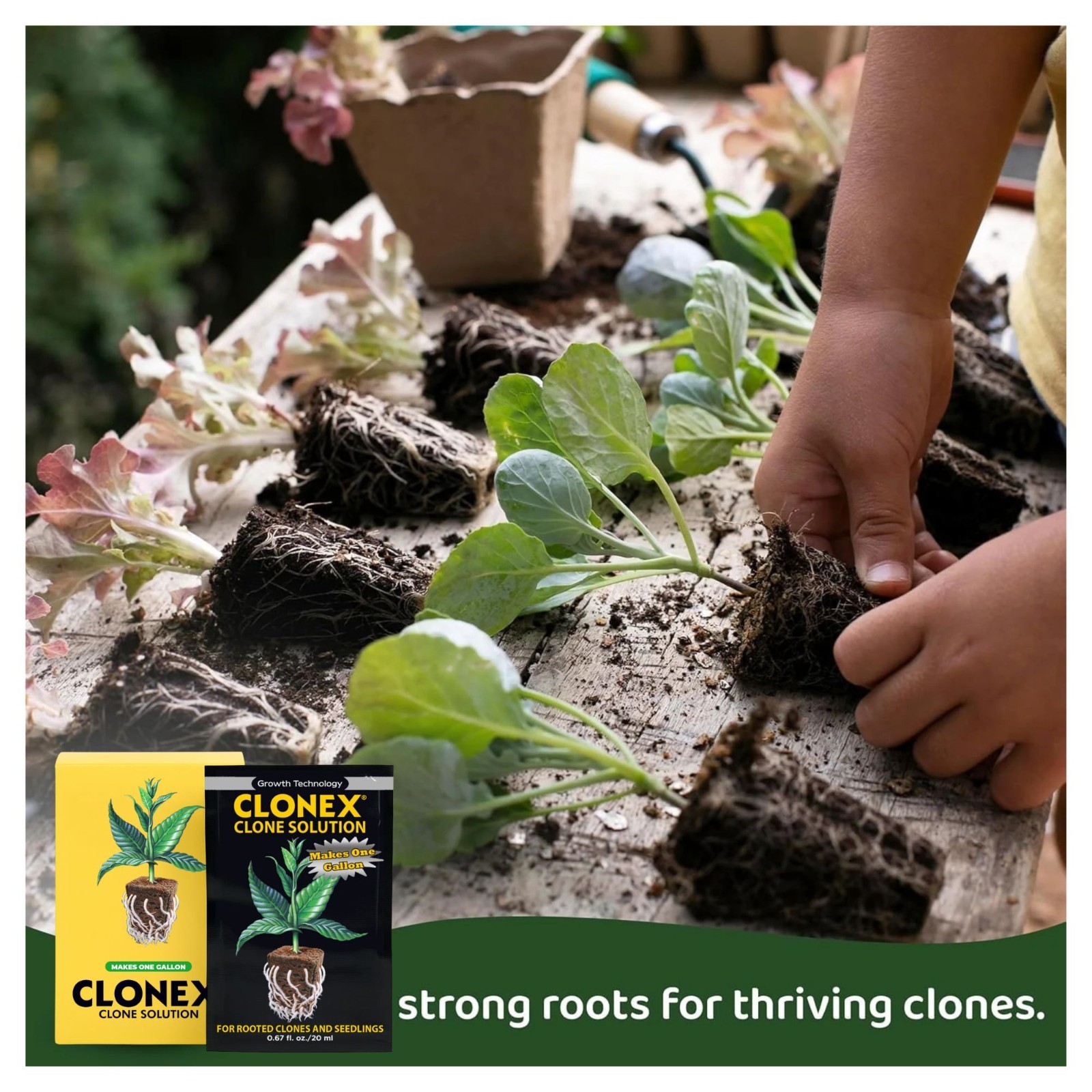 Clonex Clone Solution 20ml Packet 18 Pack Case Makes 18 Gallons Rooting Nutrient gallery