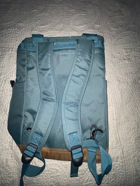 Eddie Bauer Insulated Backpack Cooler 20L 4