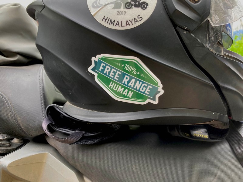 Free Range Human Sticker gallery