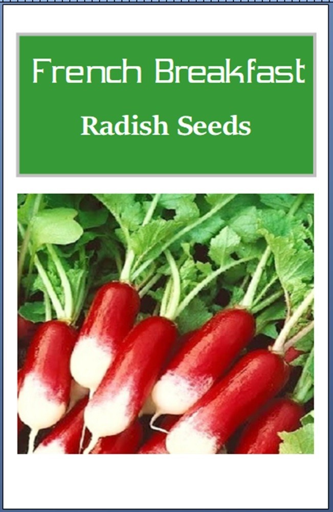 French Breakfast Radish Seeds | NON-GMO | Heirloom | Fresh Garden Seeds gallery