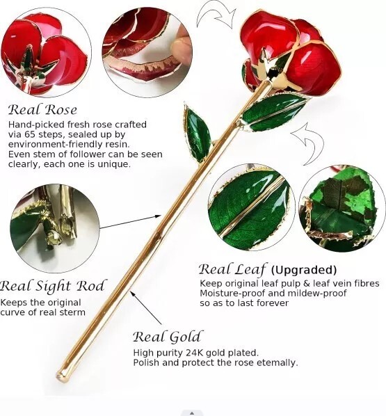 Great Easter Gift: Gold Plated Real Rose Birthday Gift with Box gallery