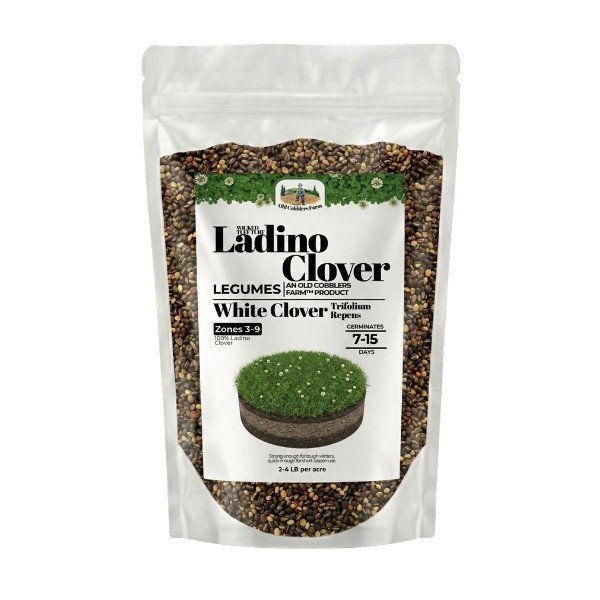 Old Cobblers Farm™ Wicked Tuff Turf Ladino Clover (Legumes) - (5/10/15/20lbs) gallery