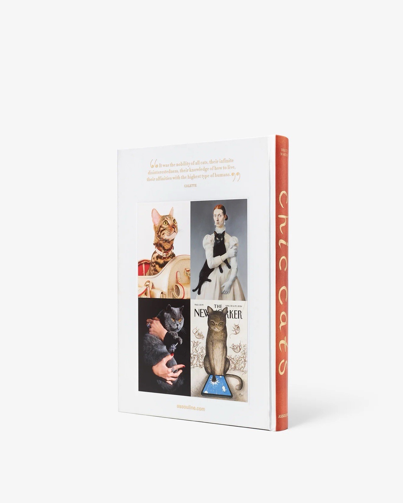 Assouline Chic Cats Hardcover Book English Illustrated Cats Animals & Pets gallery