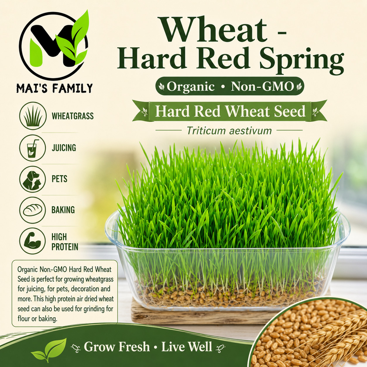 [ WHOLESALE ] Wheat Grass Seed- Guaranteed to Grow, Pets Friendly (USDA Organic) gallery
