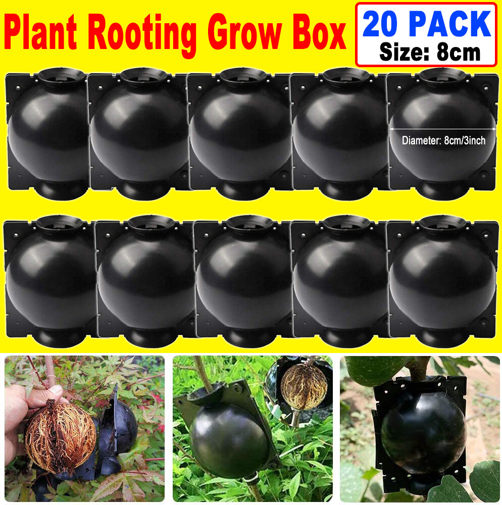 10/20Pcs 8CM Plant Root Craft Boxes High Pressure Propagation Layering Pod Balls gallery