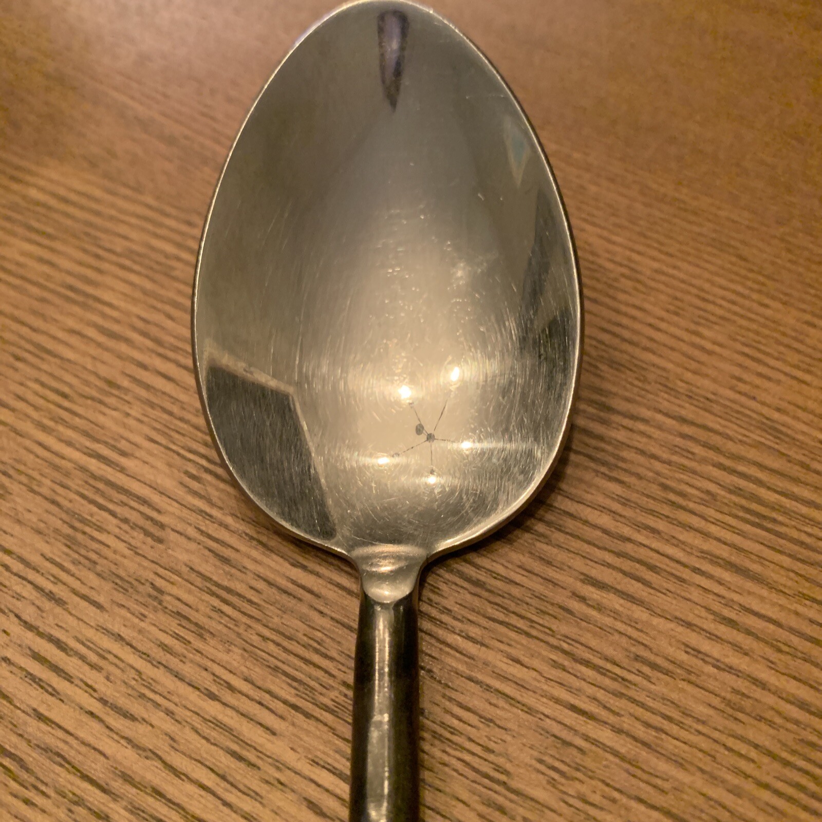 Pottery Barn Fiddlehead Large Serving Spoon 10" gallery