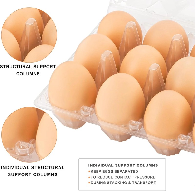 100 Pack Clear Plastic Egg Cartons, Reusable Stackable Egg Containers for Farm gallery