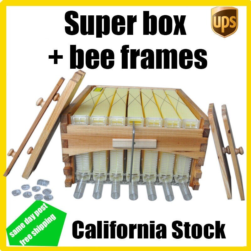 Auto Shed Bee Hives Super Box Beekeeping Hives + 7x Bee Hive Frames Bee Frames gallery