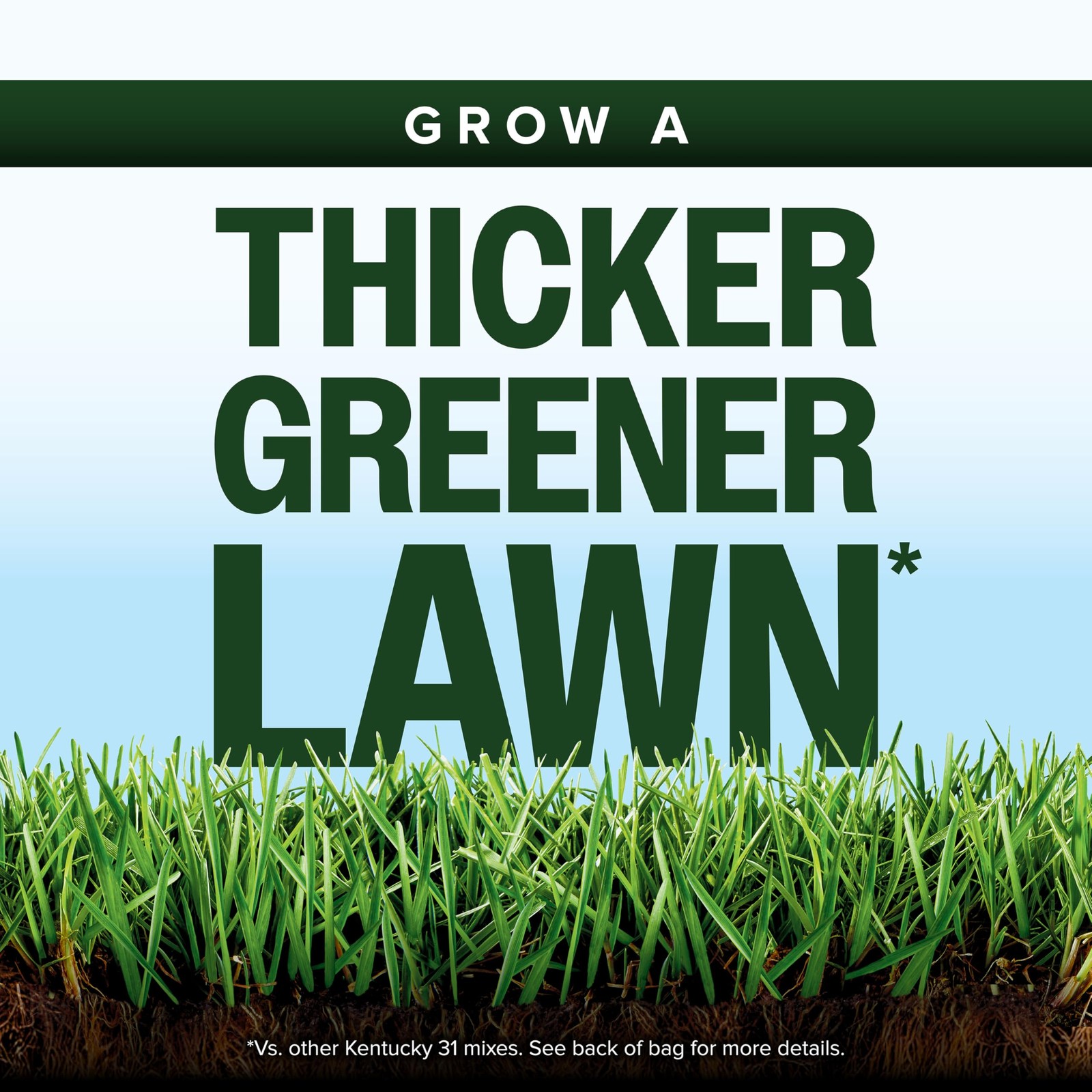 Grow Thicker Greener Grass - Scotts Kentucky 31 Seed Mix 7 lb gallery