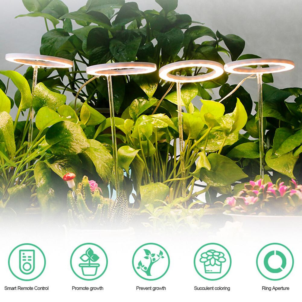 LED Grow Light Full Spectrum Phyto Grow Lamp USB Phytolamp For Plants lightening gallery