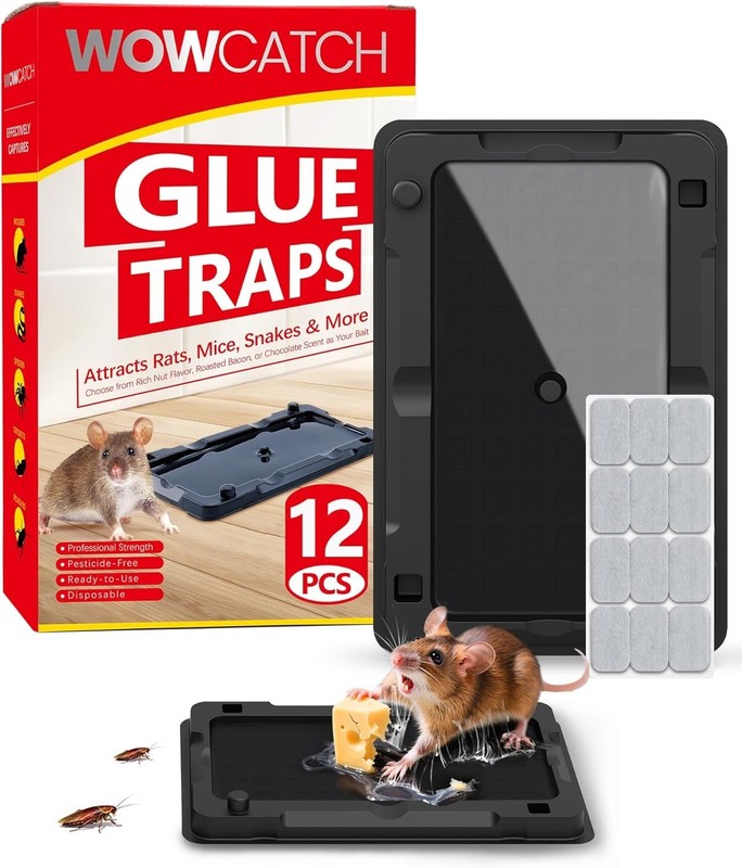 12 Pack Extra Sticky Mouse Traps - Compact Pet Safe Non-Toxic Indoor Catcher gallery