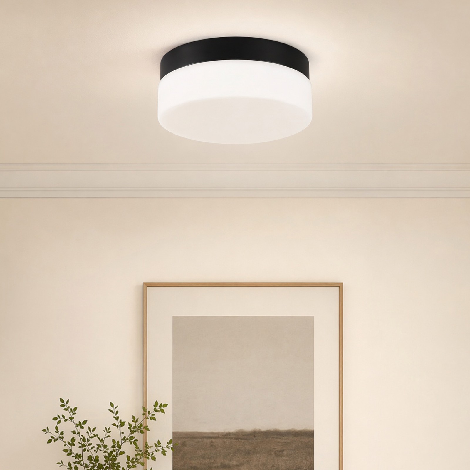 12 in 24W 5CCT Dimmable Modern Black LED Ceiling Light Glass Flush Mount Fixture gallery