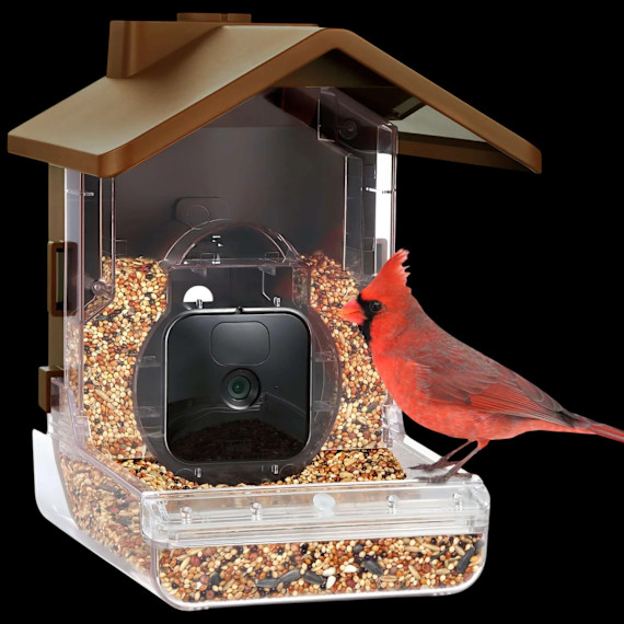 Wasserstein Bird Feeder Smart Camera Case Compatible with Ring, Blink & Wyze ... gallery