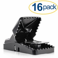 Large Powerful Rat Traps (16 Pack) – Kills Instantly with Powerful Steel Spring