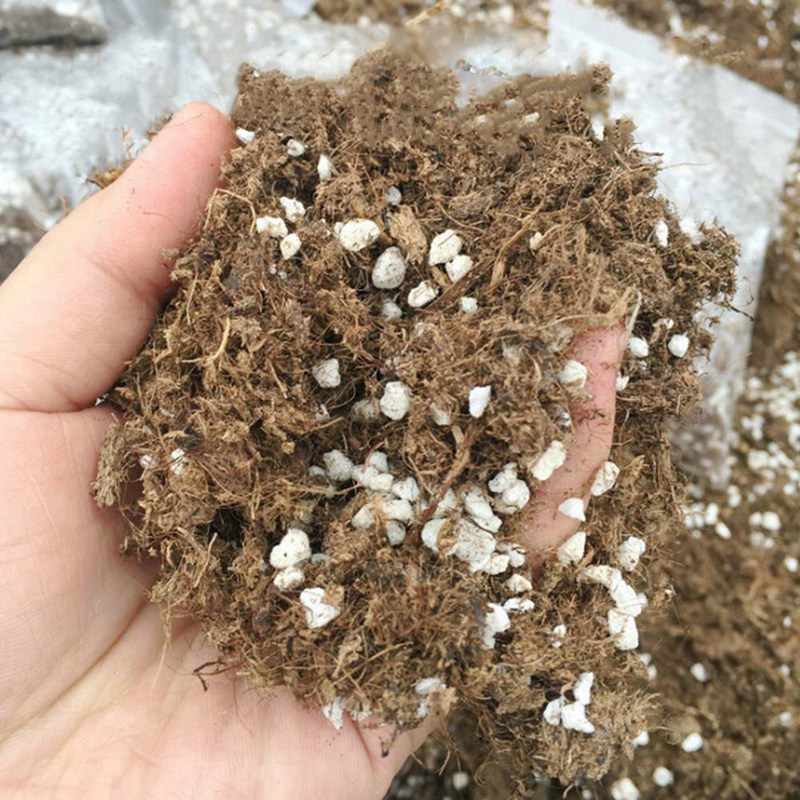 8 cups Succulent Cactus & Carnivorous Plant Potting Soil Mix Peat Moss & Perlite gallery