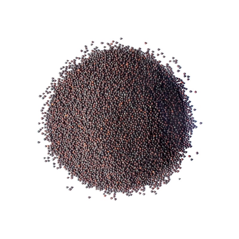 Broccoli Seeds for Sprouting — Kosher, Raw, Vegan — by Food to Live gallery