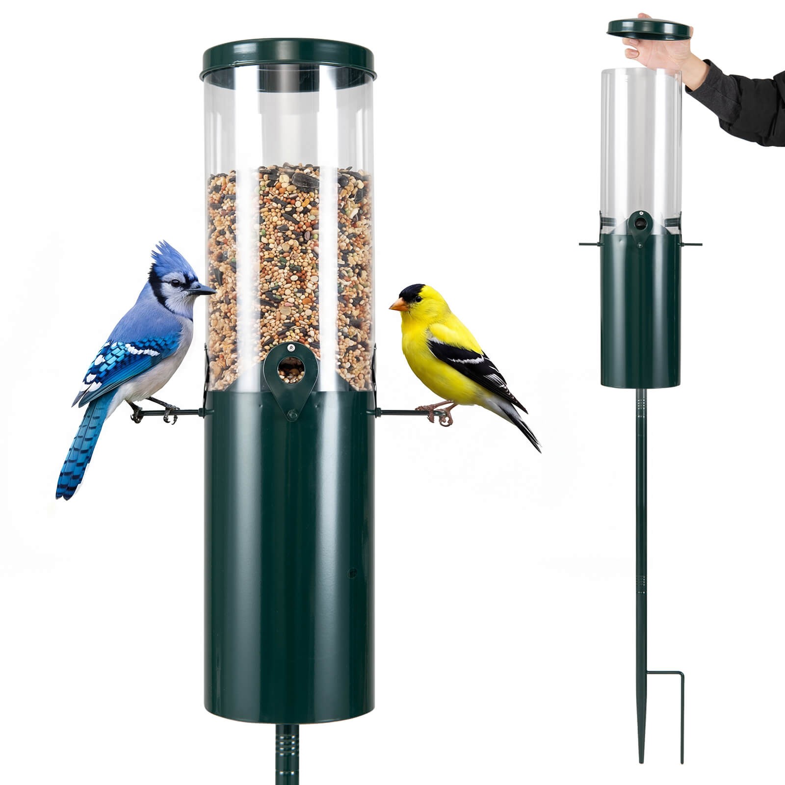 10 LBS Large Capacity Squirrel Proof Bird Feeder with Pole Mount and Baffle gallery