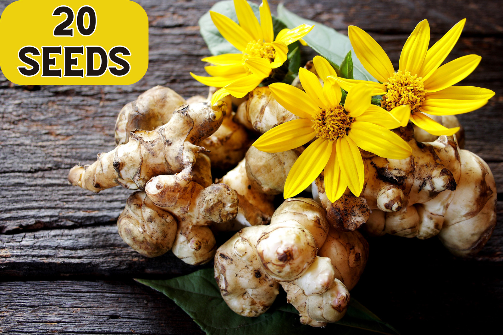 20 Seeds JERUSALEM ARTICHOKE Sunchoke Helianthus Tuberosus Flower Root Vegetable gallery