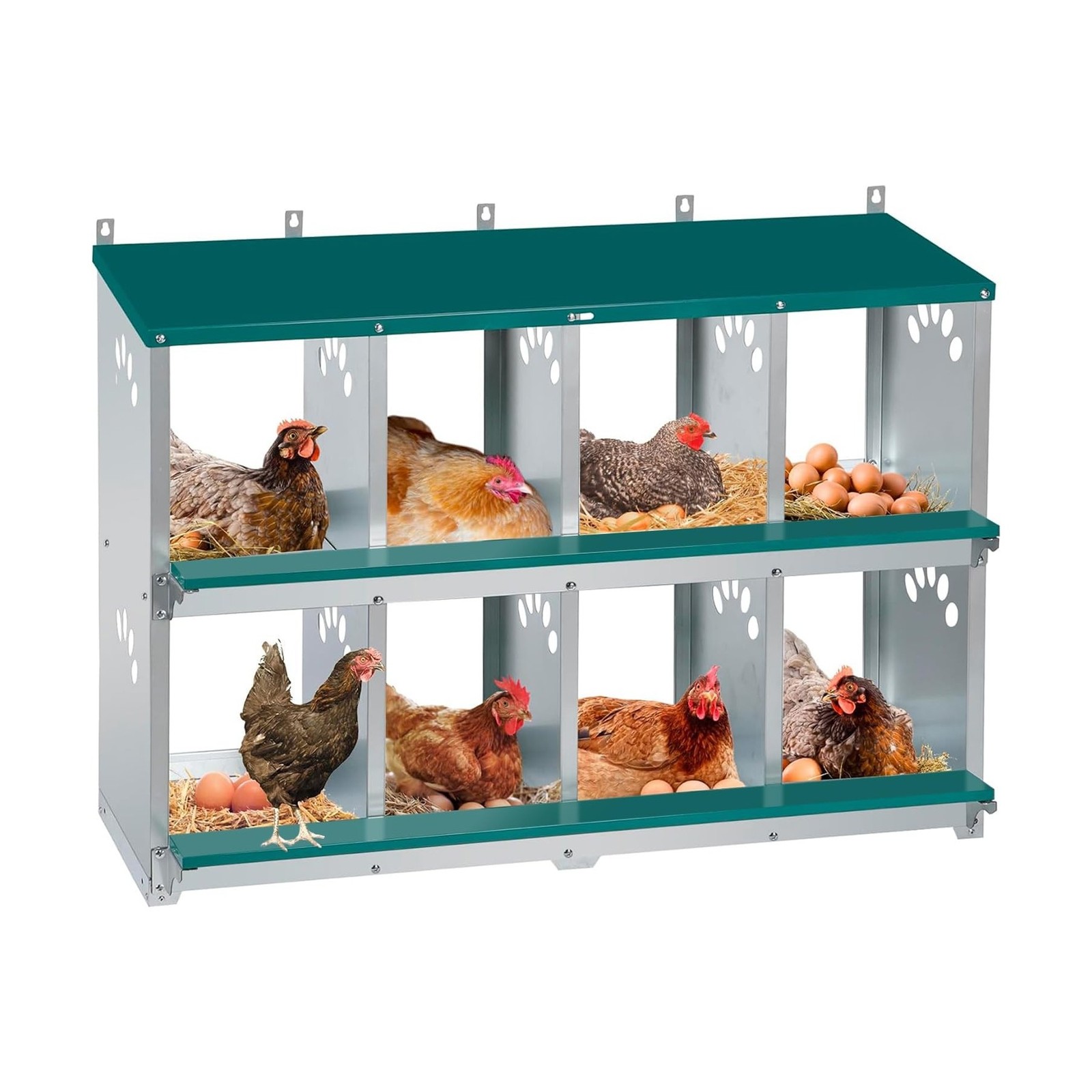 Chicken Nesting Box, 8 Compartment Metal Nesting Box, Wall Mountable Nesting ... gallery
