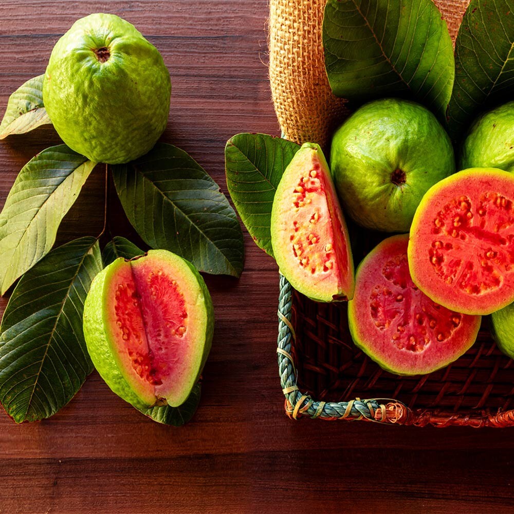 1000 Lemon Apple Pink Guava Tree Fruit Seeds ‘Ruby Supreme’ Plant Psidium gallery