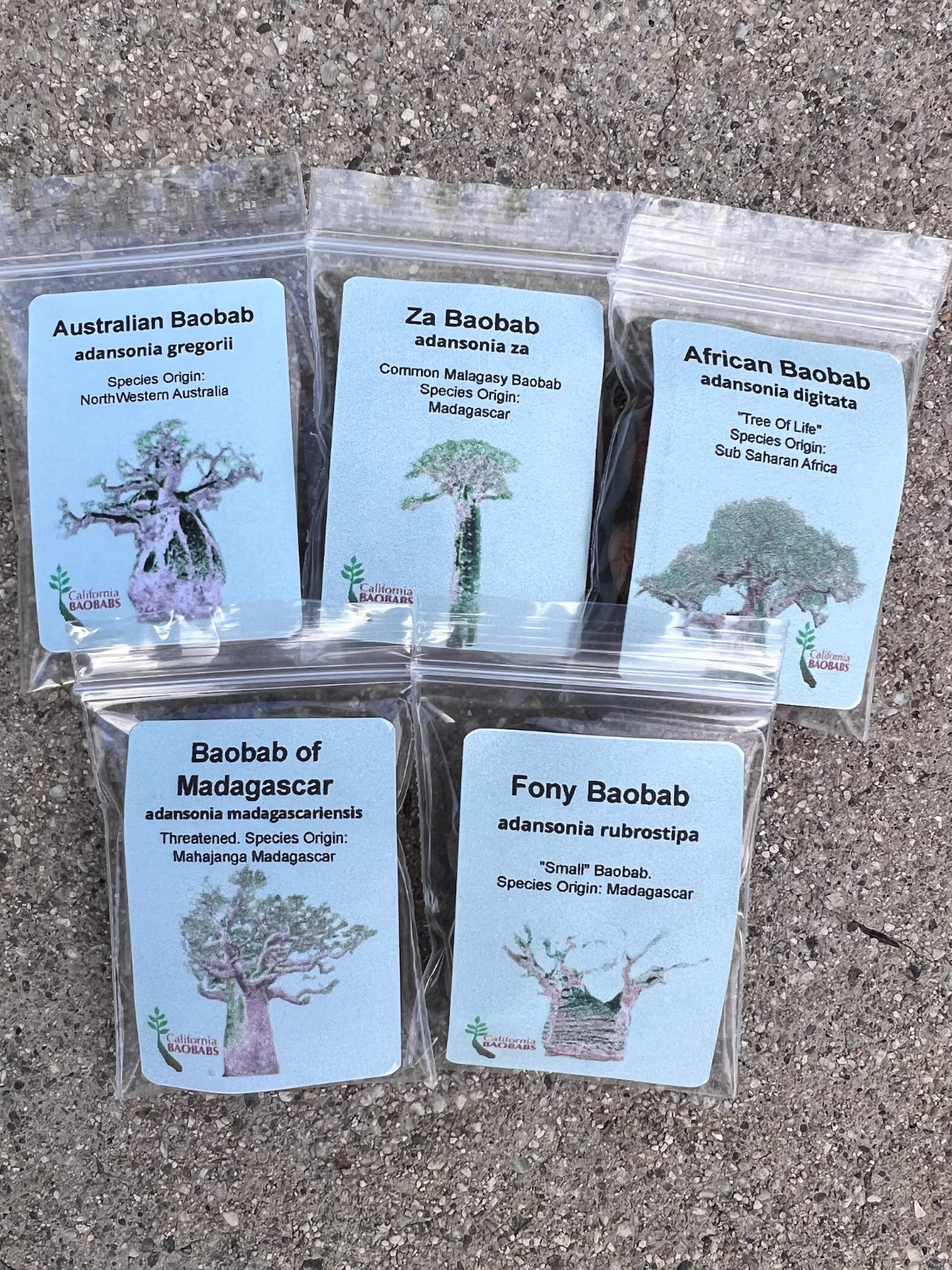 Baobab Seed Variety Pack gallery
