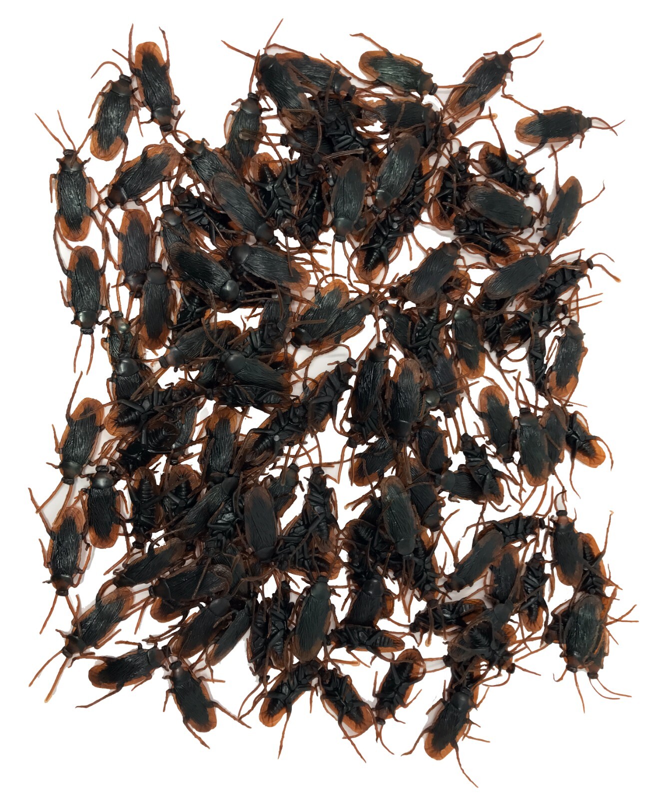144 Fake Cockroaches-Real Looking Gag Gift Prank-Gross Creepy Freak Your FRIENDS gallery