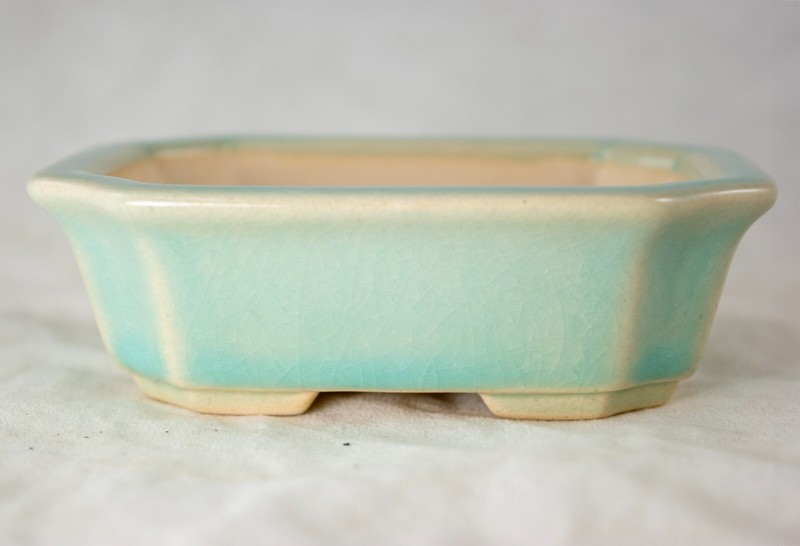 Fine Rectangular Cactus & Succulent, Mame Bonsai Pot + Mesh 4.25"x 3.5"x 1.25" gallery
