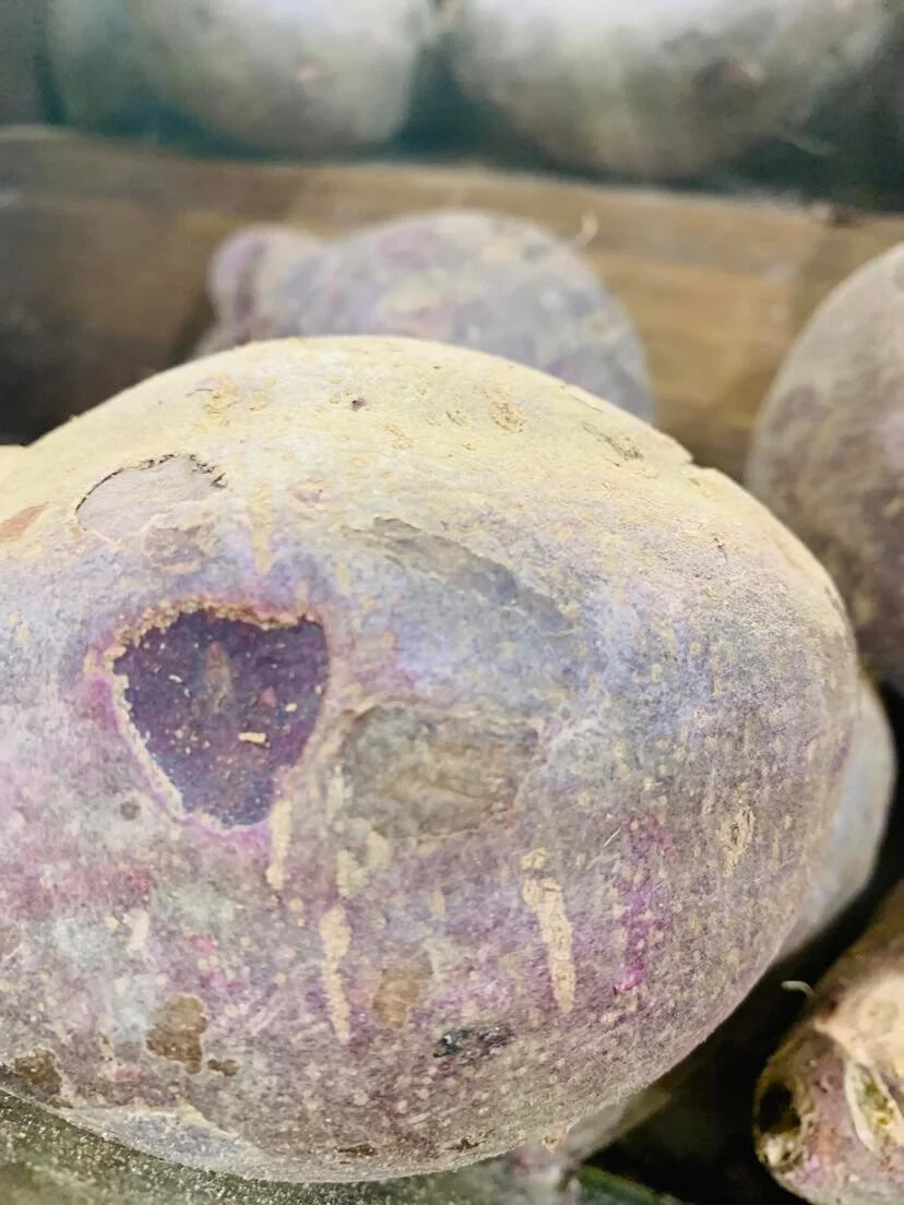 Ube Bliss: Fresh Purple Yam, Perfect for Desserts and More (6lbs) gallery