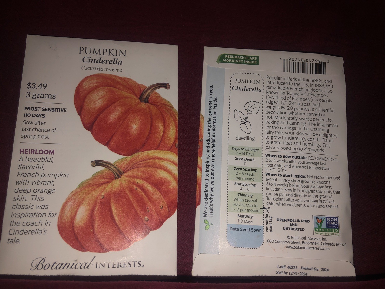 Pumpkin Cinderella Heirloom Seeds Botanical Interests Hybrid Exp. 12/2024 gallery
