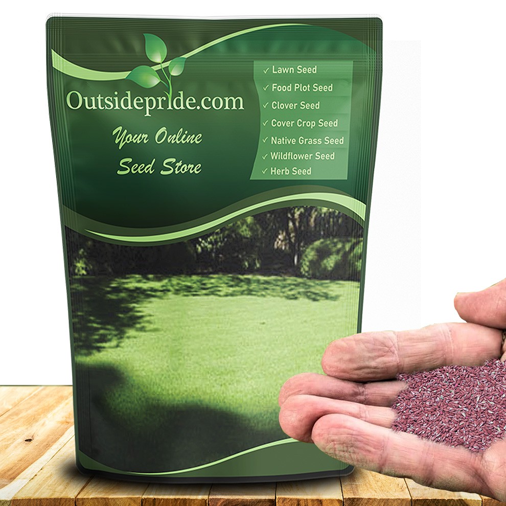 5 LBS - OptiGrowth Coated Poa Supina Grass Seed Blend - Shade Grass Seed gallery