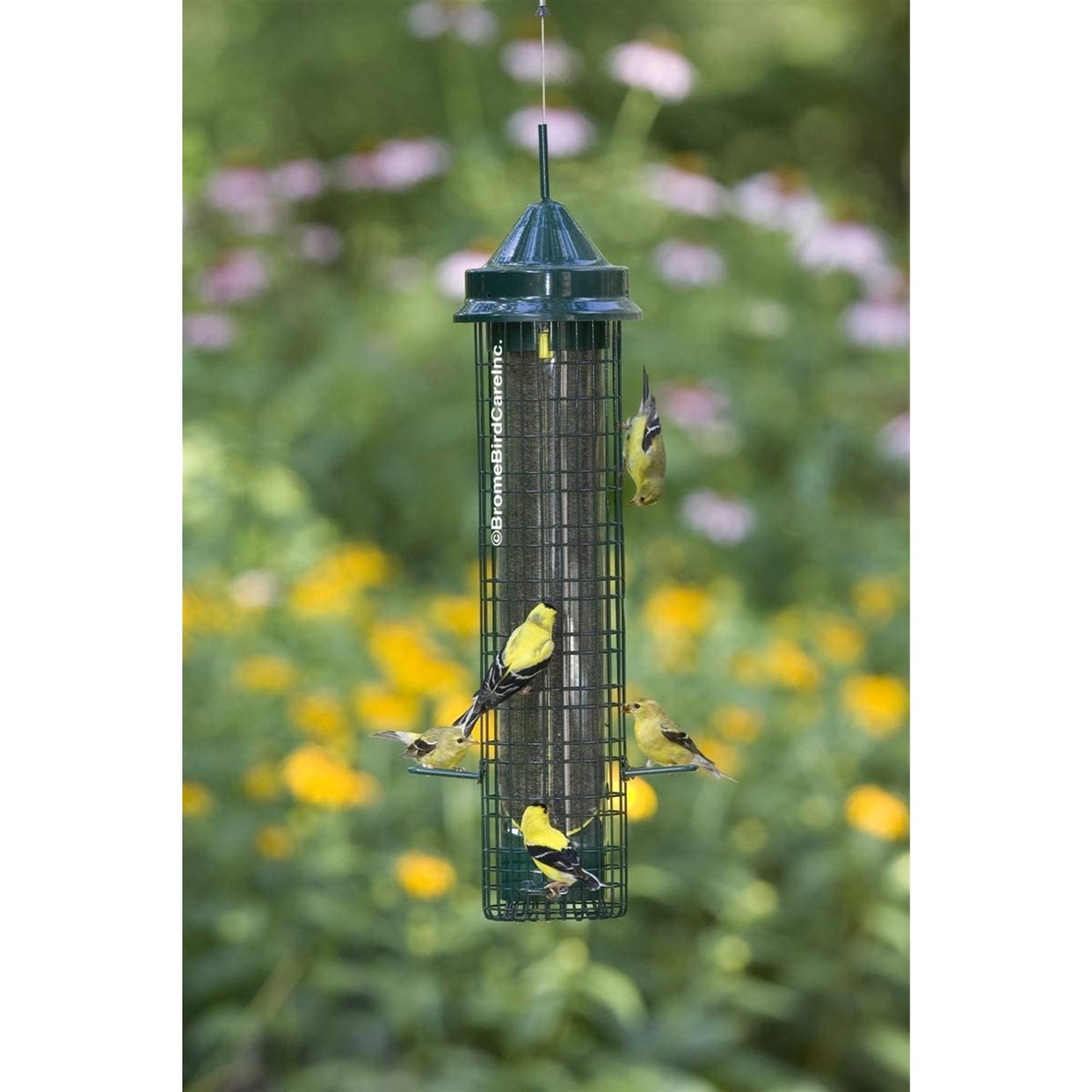 Squirrel Buster Finch Squirrel-proof Bird Feeder w/4 Metal Perches & 8 Feeding P gallery