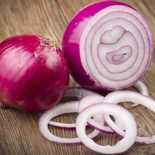 Red Creole Onion Seeds | Heirloom / Non-GMO | Free Shipping | Seed Store | 1070 gallery
