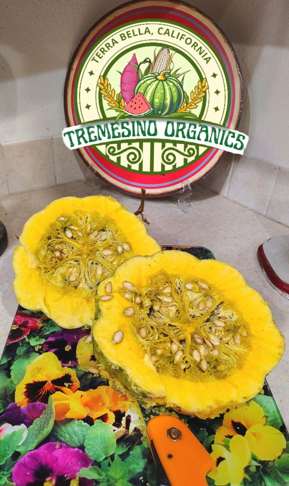 Organic Mexican Green Hardshell Squash, 20 Seeds- Calabaza Mexicana,20 Semillas gallery