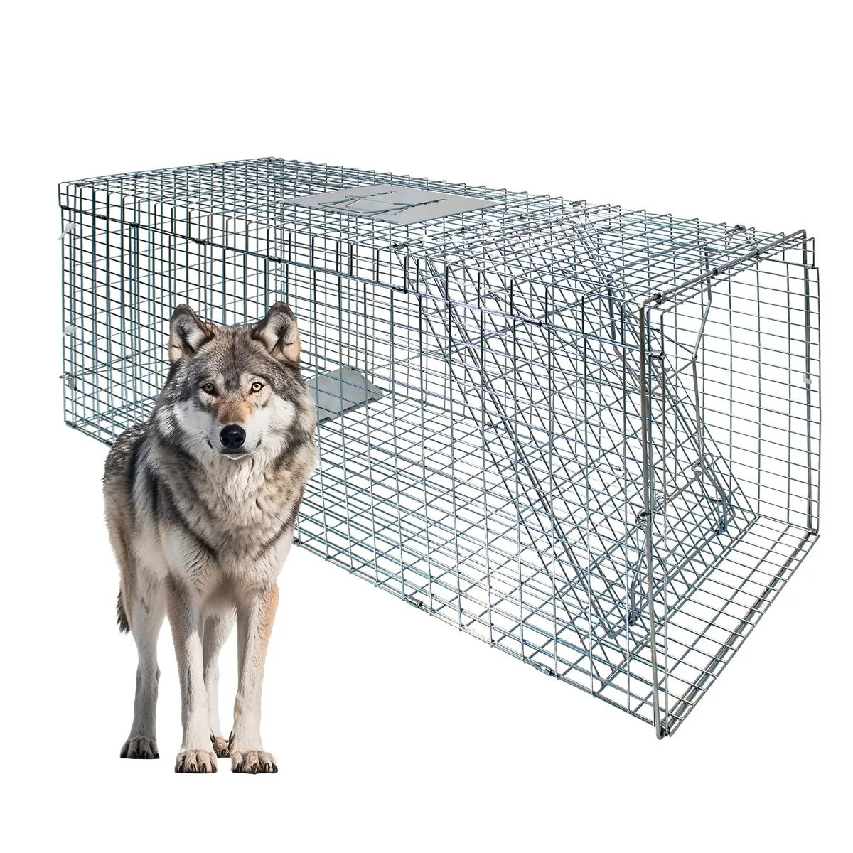 Vlaeng Large Foldable Humane Live Animal Trap Cage 51"x17"x19" Coyote Fox gallery