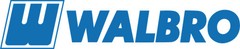 Walbro Jet – fixed (0.76) | 112-466-76-1