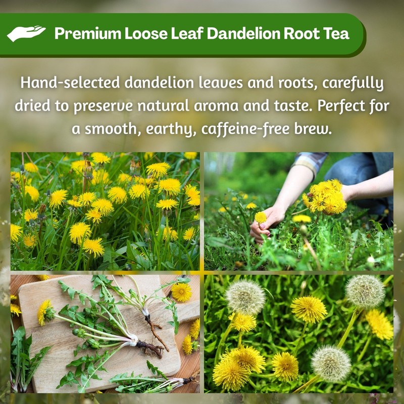 Dandelion Loose Leaf and Root Tea - Te de Diente de Leon Herbal Tea from Peru 2 gallery