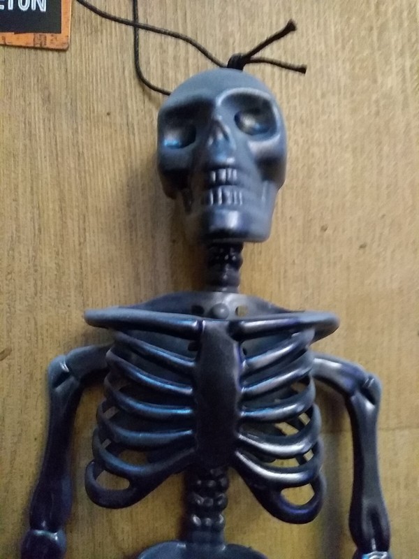 SKELETON black Hanging Plastic 32x15x5.5cm New Funky Fun Decoration gallery