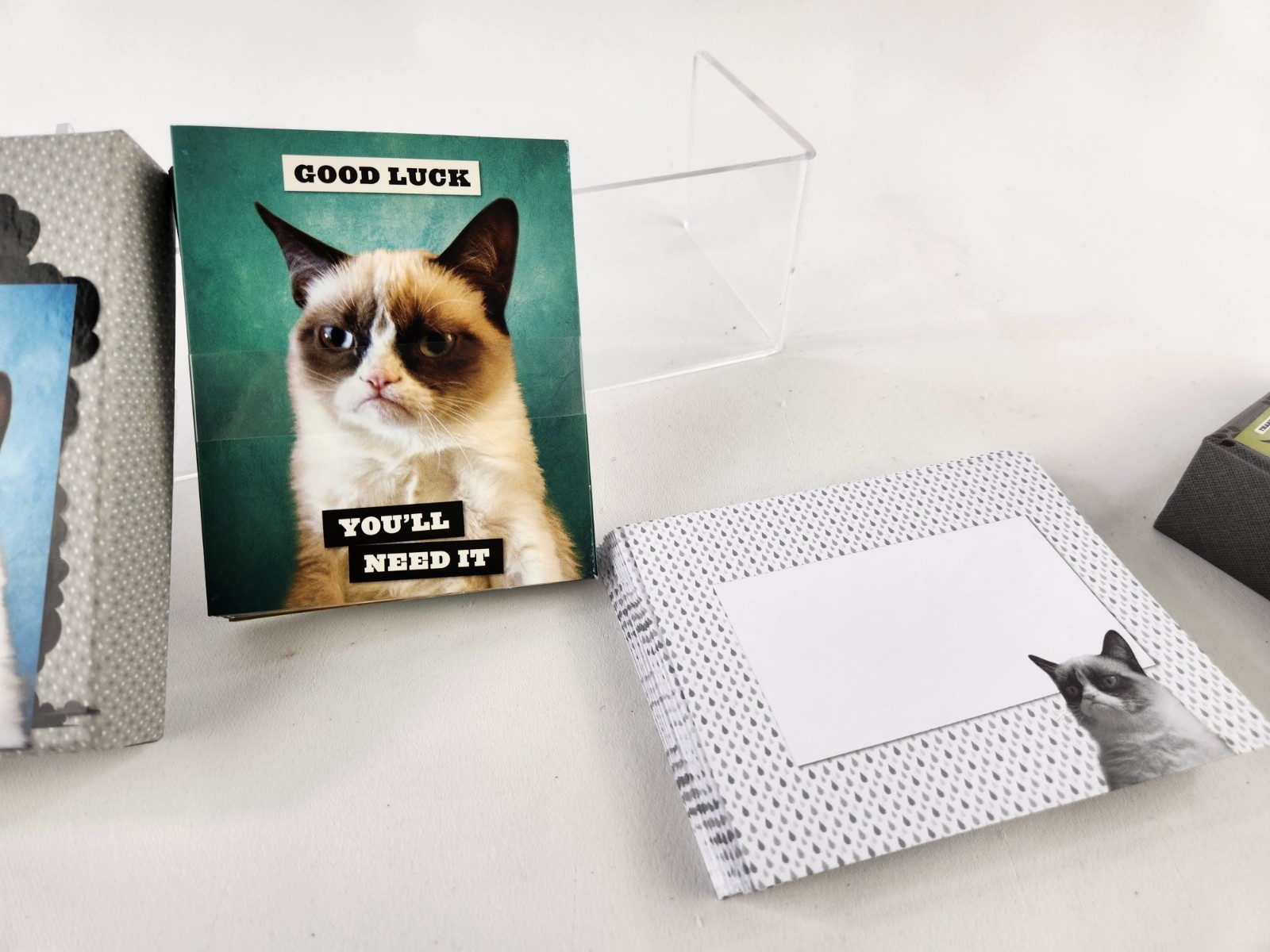 20 GRUMPY CAT No Note Cards Envelope Set Internet Meme Funny Kitty Feline Art gallery