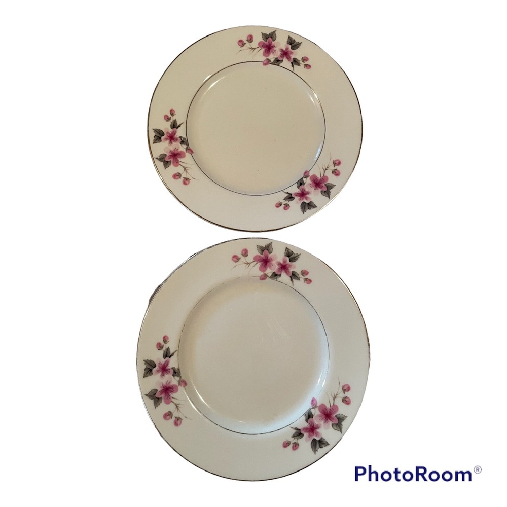Royal Devon Bread Salad Plate Pink Flower Buds Gold ROD13 set of 2