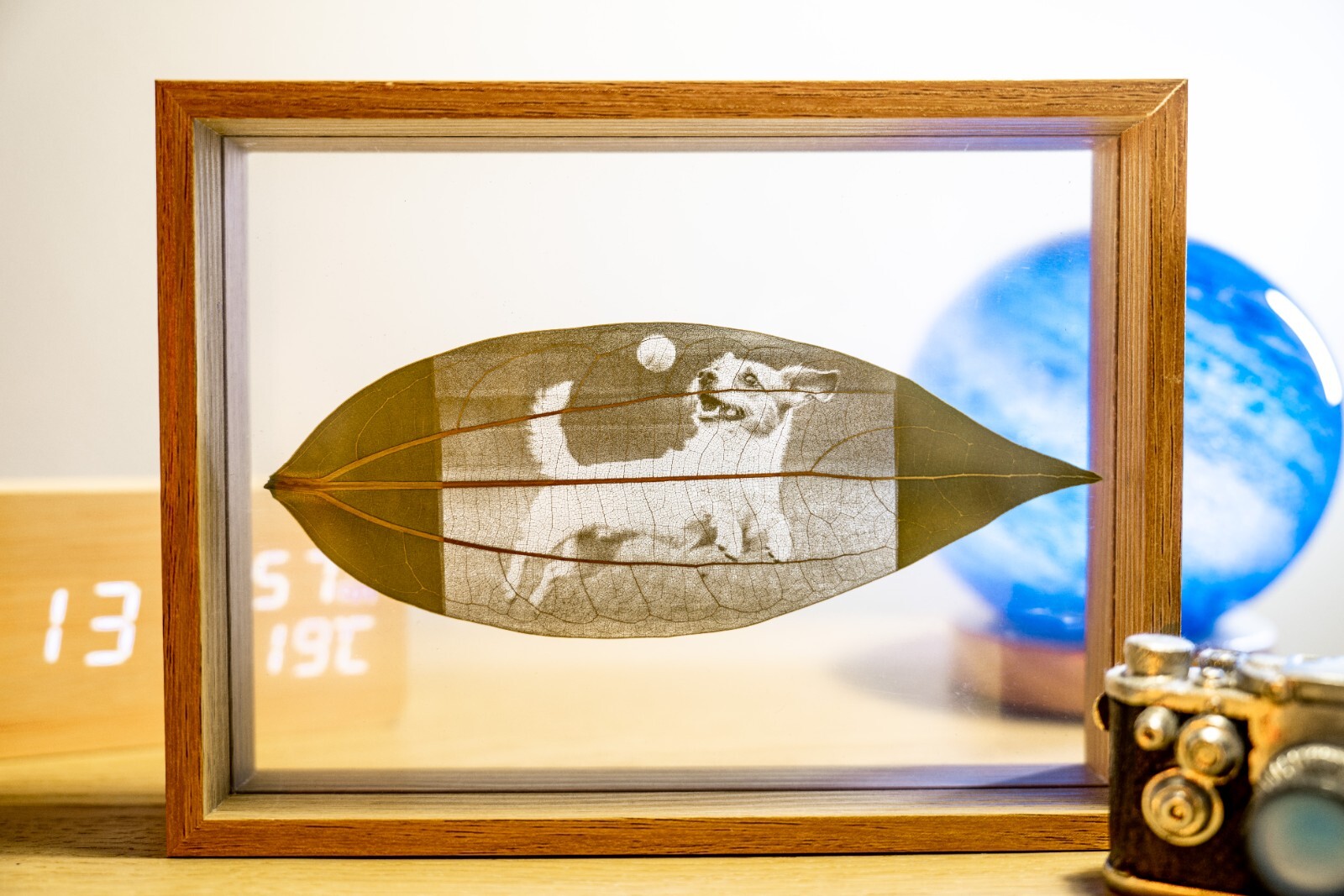 Custom Leaf Photo Engrave Carving Handmade Art Gift *Message Us Your Photo* gallery